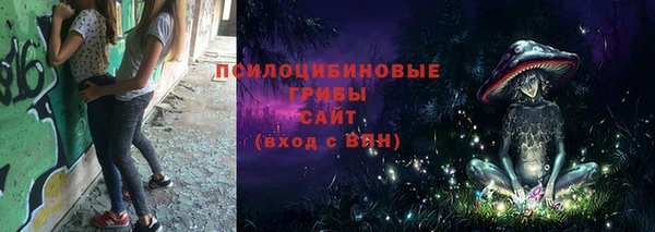 apvp Алексеевка